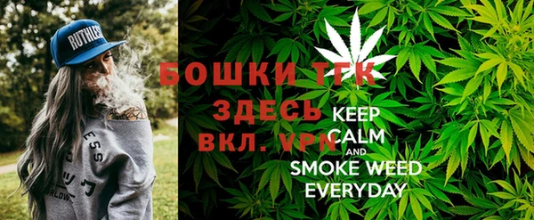 прущие грибы Алзамай