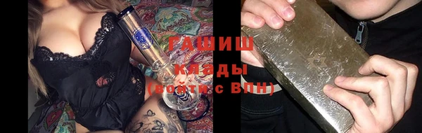прущие грибы Алзамай