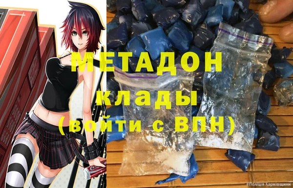 прущие грибы Алзамай