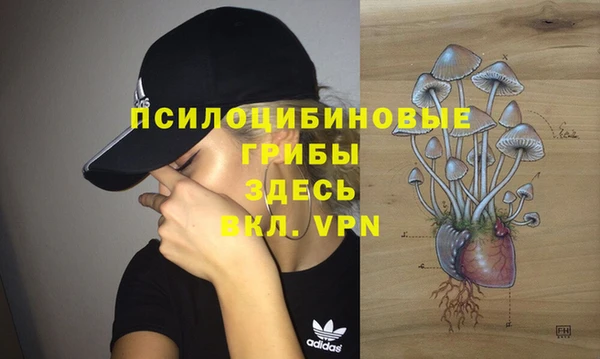 гидропоника Алексеевка