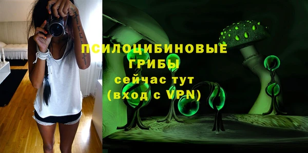 прущие грибы Алзамай